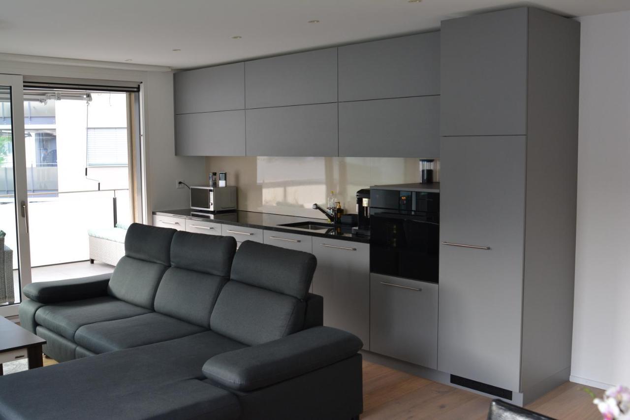 Great New Apartment Surrounded By Nature. Schattdorf Eksteriør billede