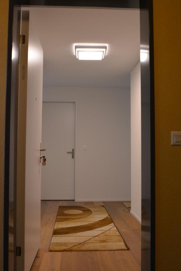 Great New Apartment Surrounded By Nature. Schattdorf Eksteriør billede